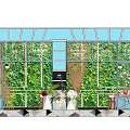 Modern Cafe Interior Design With Glass Windows Green Plant Wall Wooden Tables And Decorative Flowers