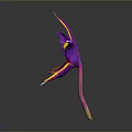 Purple Pink Orchid with Yellow Orange Edged Petals and Black Spotted Center in Dark Background