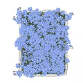 Elegant White Wicker Basket Potted Plant With Blooming Blue Flowers Decor