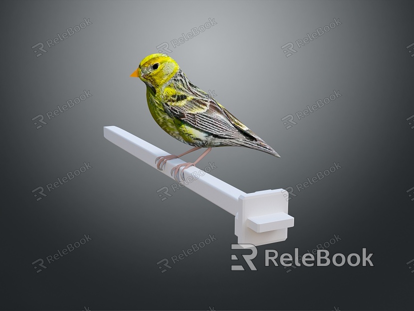 bird bird bird bird game animal cartoon animal animal realistic animal model