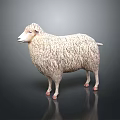 3D Rendered Sheep Model With Fluffy Wool Texture On Dark Background Surface