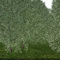 Industrial Plant with Blue Roof White Storage Tanks and Truck in Forested River Area