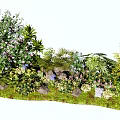 Lush Flowers and Diverse Plants in Natural Garden Landscape with Green Grass and Stones