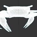 Detailed Brown Crab With Large Claws And Legs As Aquatic Animal