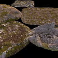 Natural Stone and Wood Decorative Pieces With Mossy Surfaces And Organic Textures