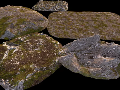 Natural Stone and Wood Decorative Pieces With Mossy Surfaces And Organic Textures 3d model