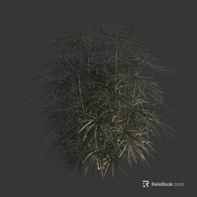 Detailed Tall Tree With Lush Green Foliage And Natural Branch Structure 3d model 