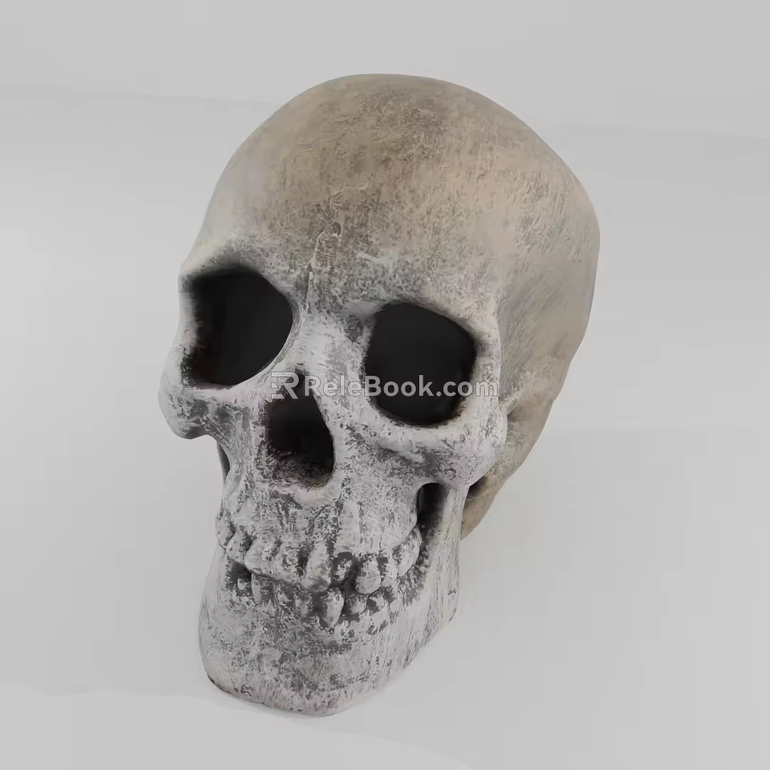 Skull 3d model