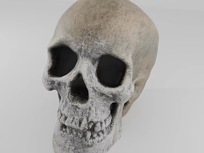 Weathered Human Skull Model Featuring Hollow Eye Sockets Detailed Teeth And Rough Surface 3d model