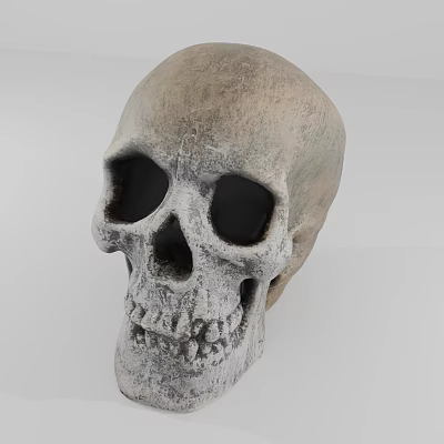 Weathered Human Skull Model Featuring Hollow Eye Sockets Detailed Teeth And Rough Surface 3d model