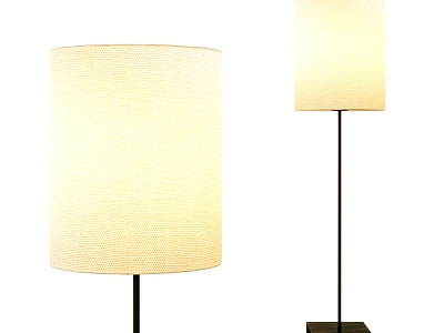 Floor Lamp Metal Floor Lamp Simple Floor Lamp model