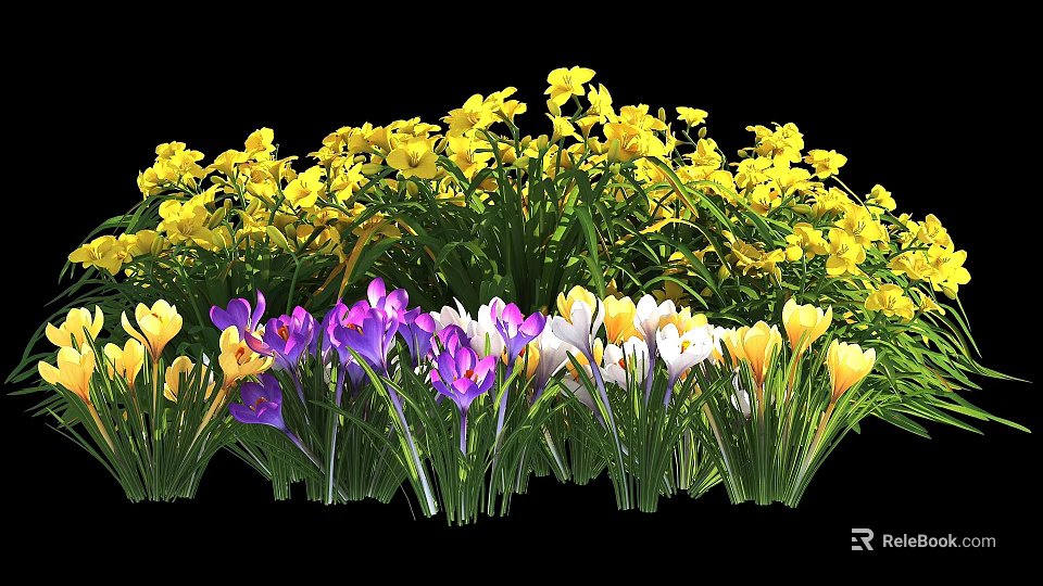 Yellow Purple White Blooming Spring Flowers In Garden Outdoor Plants 3d model 