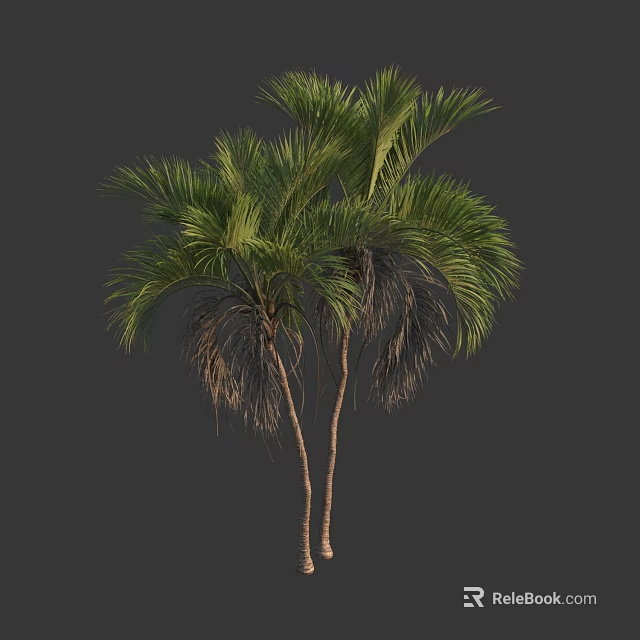 3D Rendered Palm Trees With Green Fronds And Brown Trunks Against Dark Background 3d model 
