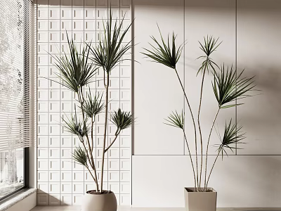 Two Tall Leafy Potted Plants In Bright Modern Indoor Interior With White Wall 3d model