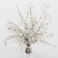 Elegant Floral Decoration With White Baby's Breath Bouquet In Clear Vase
