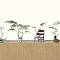 Bonsai Potted Plants with Fern Leaves on Wooden Counter and Ceramic Pots