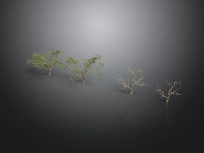 Various Trees In Different Growth States With Green Foliage And Bare Branches Scene 3d model
