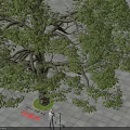 Tall Arbor With Person Under And Shadow On Paved Ground 3d model