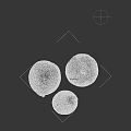 Three Fresh Green Limes With Natural Surface Spots On Light Background And Different Sizes