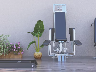 Modern Commercial Fitness Equipment With Green Plants On Wooden Floor And Gray Wall 3d model