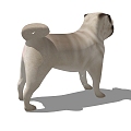 Modern Dog Animal Dog 3d model