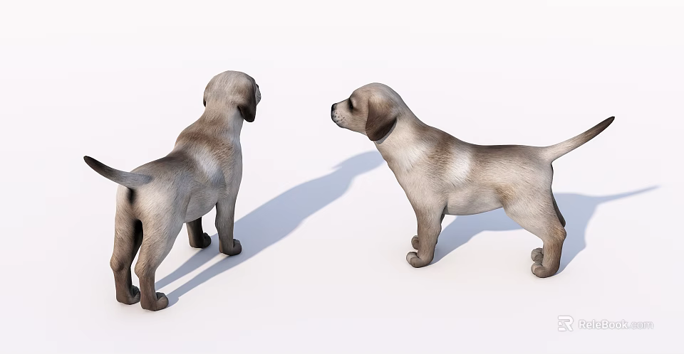 Two Small Reptiles Standing On White Background With Their Shadows 3d model 