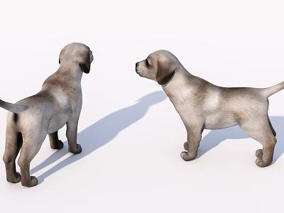 Two Small Reptiles Standing On White Background With Their Shadows 3d model