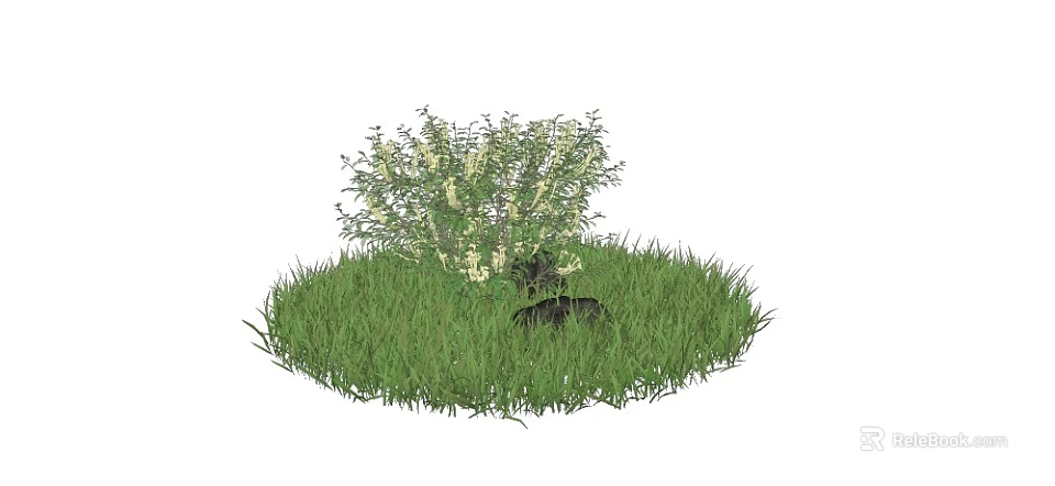 Small Green Plant With White Flowers Growing On Lush Grass With Black Stone 3d model 
