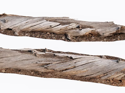 Weathered Stone Wood Planks Showcasing Natural Texture And Rustic Beauty 3d model