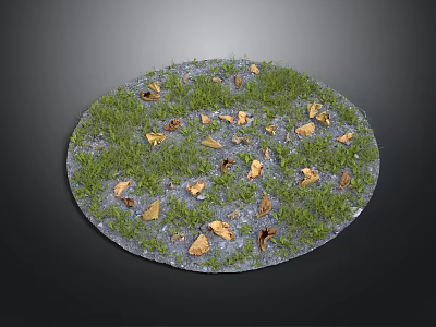Green Grass With Yellow Fallen Leaves On Circular Landscape Surface 3d model