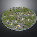 Green Grass With Yellow Fallen Leaves On Circular Landscape Surface