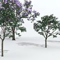 Tall and Small Arbor Trees with Purple Flowers Arranged on White Background