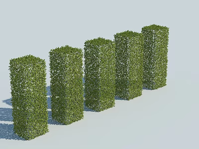 Green Cylindrical Trimmed Shrubs Arranged in Row for Outdoor Landscape Design 3d model