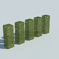 Green Cylindrical Trimmed Shrubs Arranged in Row for Outdoor Landscape Design