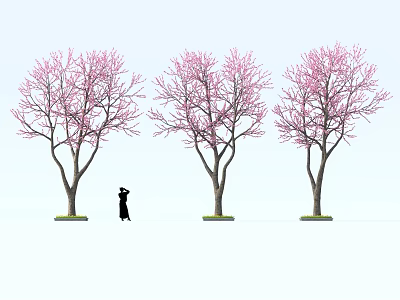 Delicious Cherry Blossom Themed Desserts Under Pink Flower Trees With Silhouette Person 3d model