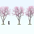 Delicious Cherry Blossom Themed Desserts Under Pink Flower Trees With Silhouette Person