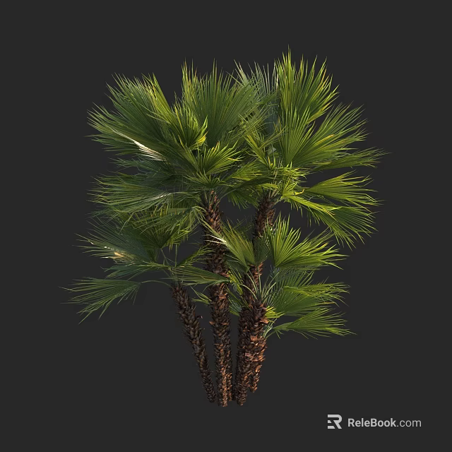 Lush Tropical Palm Trees With Green Fronds And Brown Trunks 3d model 