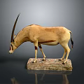 Light Brown Antelope Taxidermy Mounted Figure On Natural Stone Base