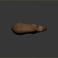 Realistic Brown Capybara 3D Model Standing On Dark Background With Reflective Surface