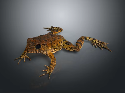 Detailed View Of Brown Reptile With Textured Skin Crawling On Gray Background 3d model