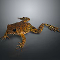 Frog Poison Frog Game Frog Reptile Cold Blooded Animal Reptile 3d model