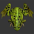 Green Frog With Black Spots Large Eyes And Detailed Paws On Dark Background