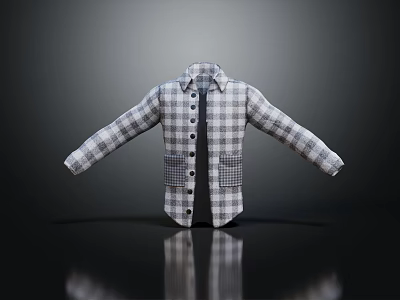 Collared Plaid Shirt Jacket With Long Sleeves Buttoned Front And Pockets 3d model
