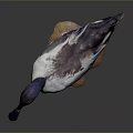 Detailed Blue Headed Duck Figurine With White Brown Feathers On Stone Base