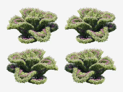 Green Shrubs with Purple Flowers and Lush Foliage for Decorative Garden Landscaping 3d model