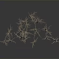 Scenic Landscape View Of Group Of Dry Leafless Trees On Gray Background