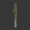 Modern Decorative Pillar Adorned With Lush Green Vines In Contemporary Interior Design