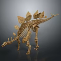 Stegosaurus Dinosaur Skeleton With Back Plates And Tail Spikes In Museum