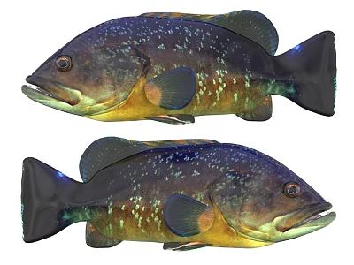 Two Vibrant Colorful Aquatic Fish With Blue Yellow Green Spots And Sleek Body Structure 3d model