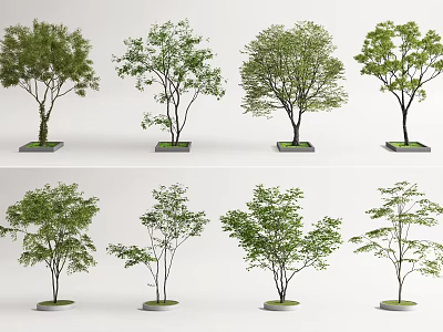 Decorative Flower Planters Featuring Various Lush Green Trees For Outdoor Decoration 3d model